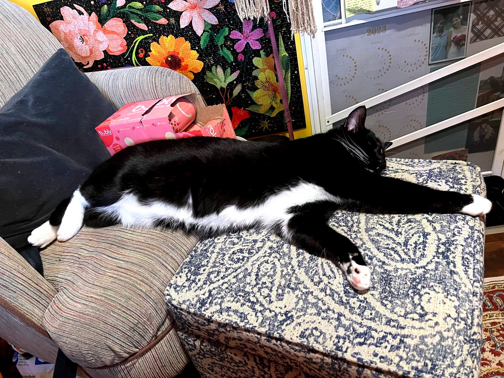 The cat stretched out across a striped chair and paisley ottoman.