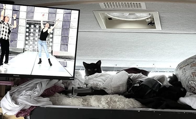 A black cat head pokes out from behind laundry strewn about a loft bed. To his left is a TV screen showing two men dancing.